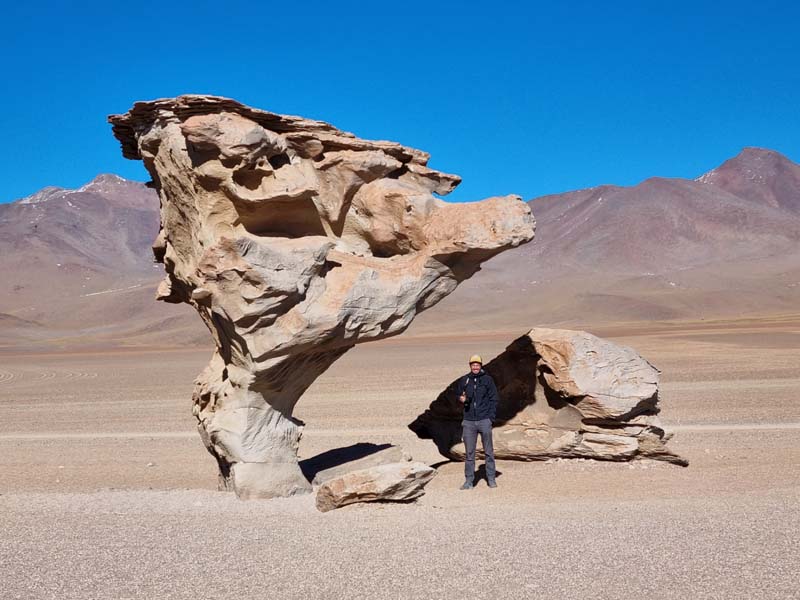 Arbol de Piedra