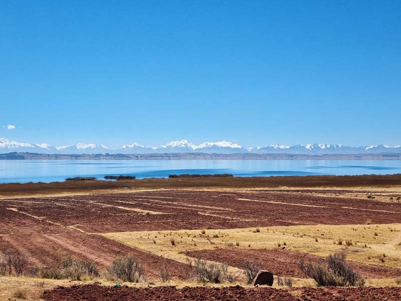 Culture sur le lac Titicaca