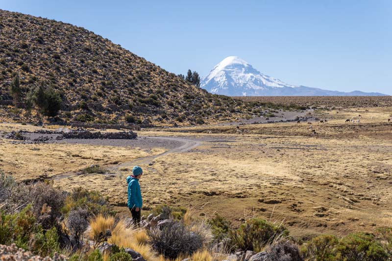 Volcan Sajama