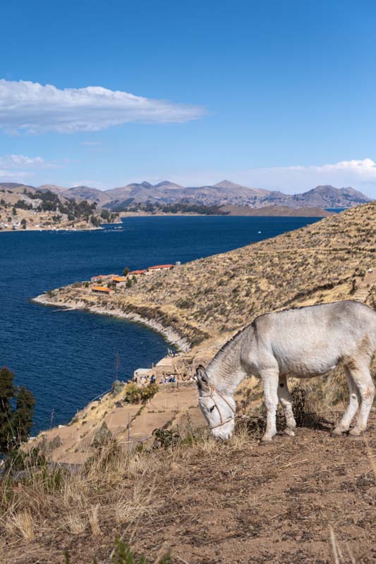 Lac Titicaca