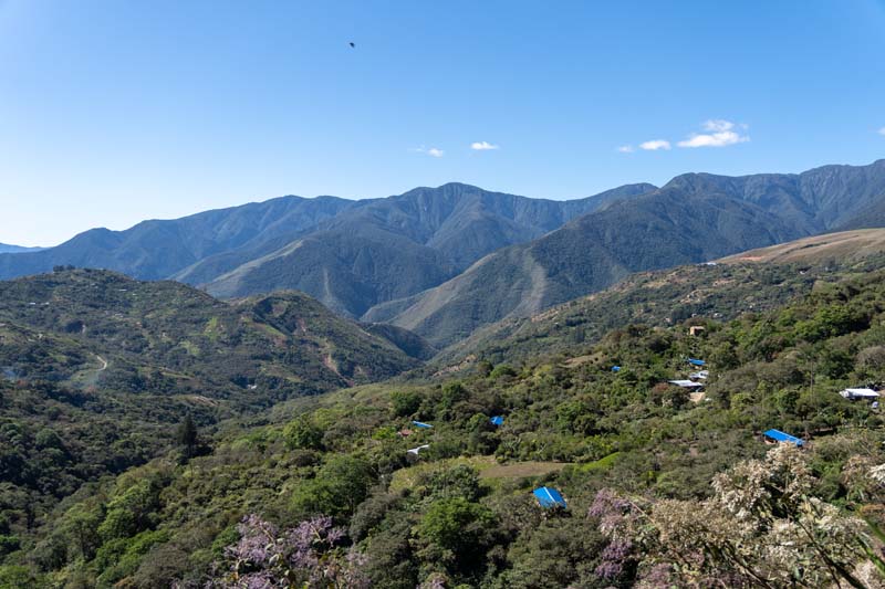 Vue sur les plantations