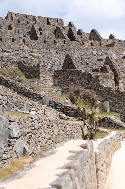 Dans les ruines