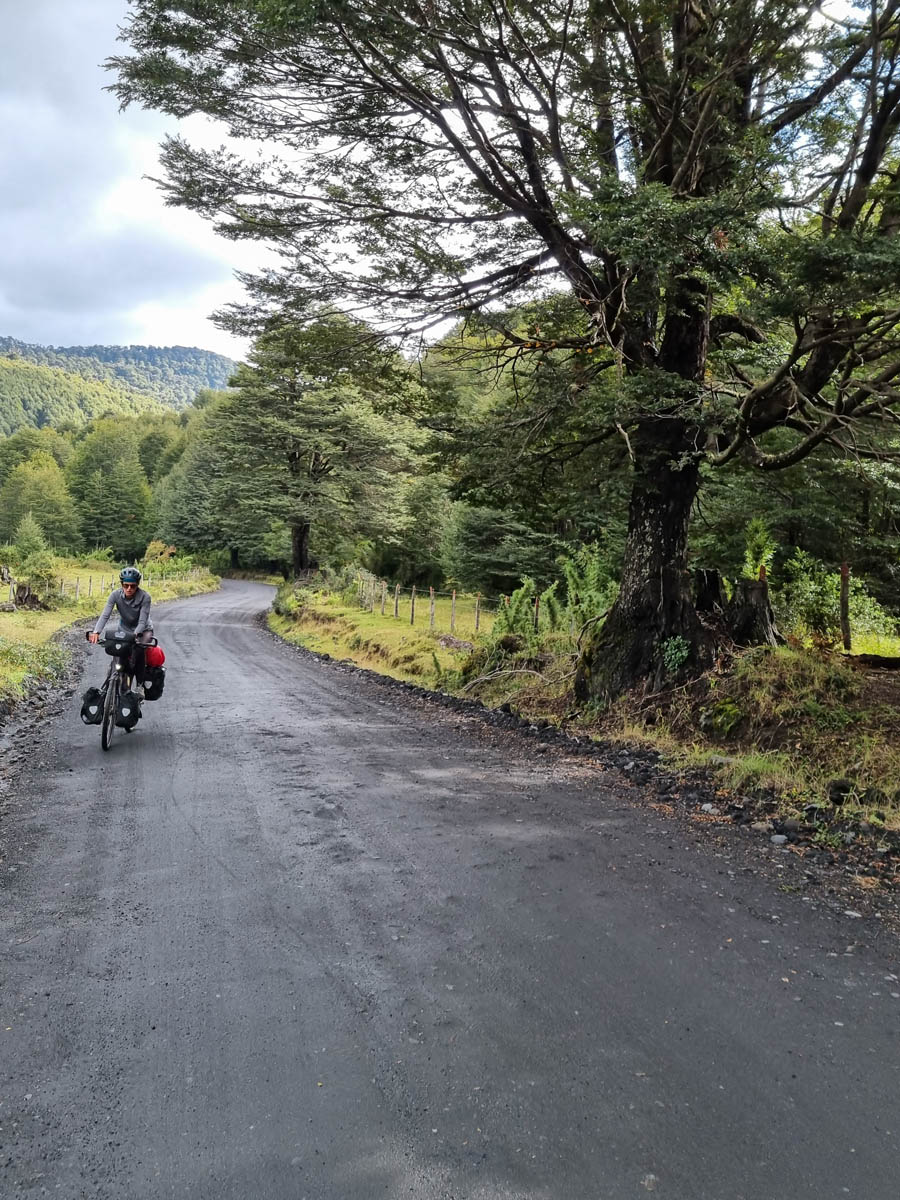 B46: Panguipulli -> Cajón Negro