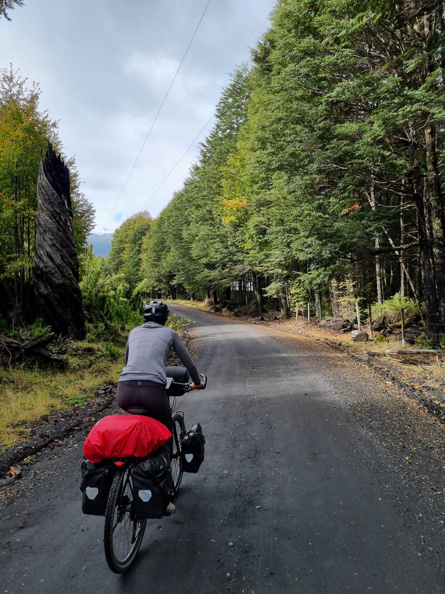 B46: Panguipulli -> Cajón Negro