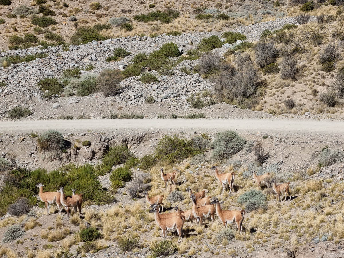 B74: Uspallata -> Mendoza