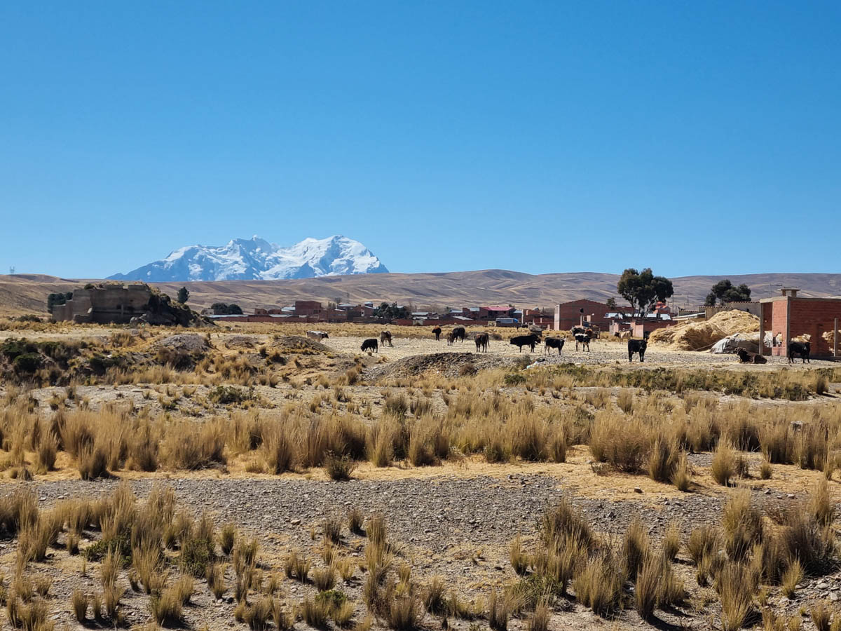 B116: El Tholar -> La Paz