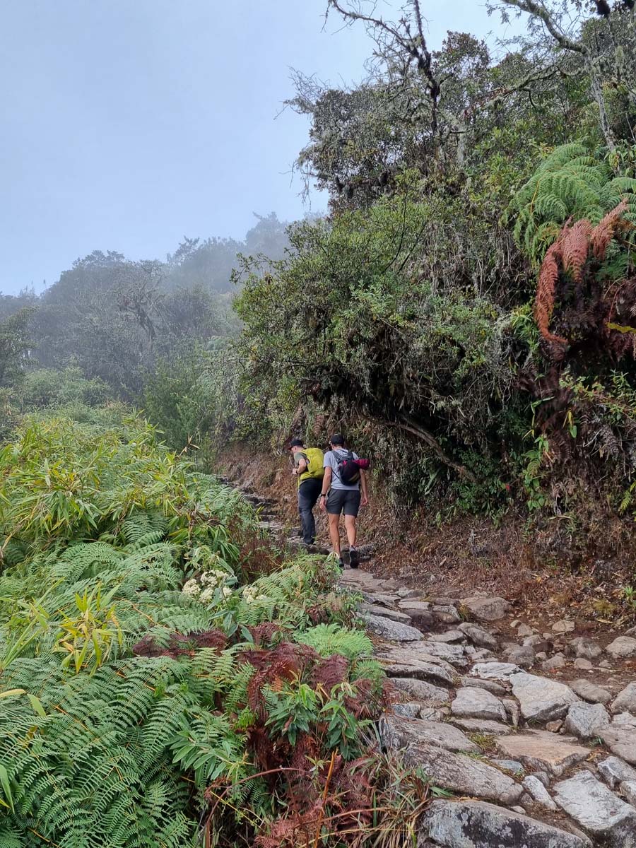 H12: Aguas Calientes -> Machupicchu -> Hidroeléctrica